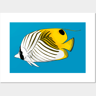 Threadfin Butterflyfish Posters and Art